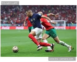 全国棒球联赛北京猛虎夺冠 时隔四年再登冠军宝座