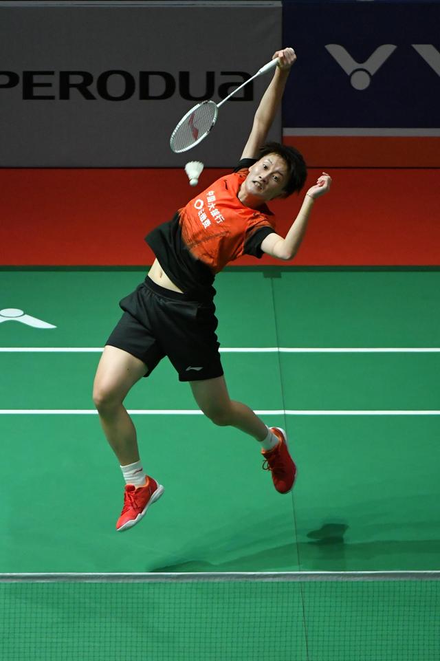 迅速积累了 迅速积累了